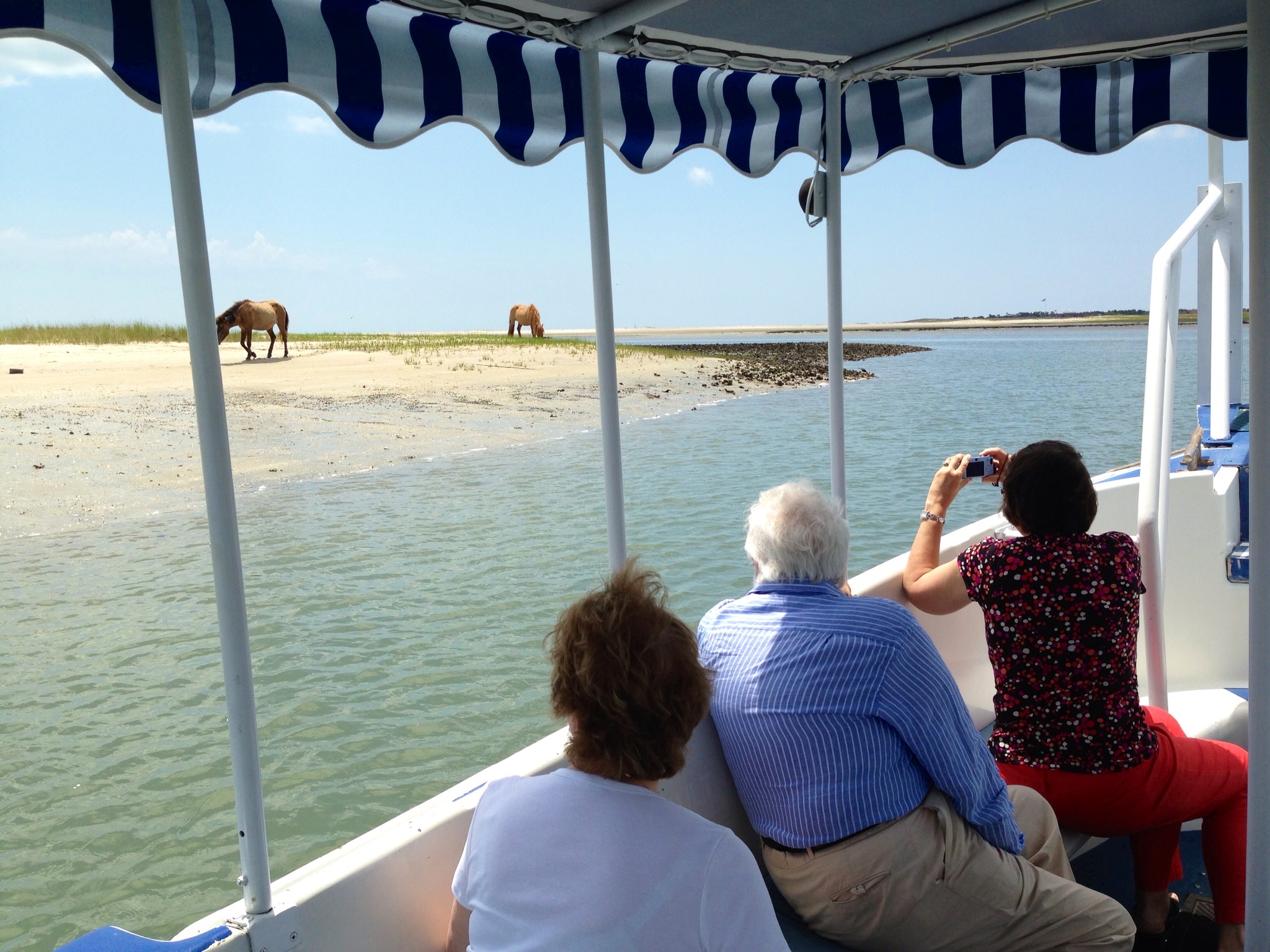 Waterbugtours06 • Waterbug Tours • Old Fashioned Nature Tour • Shaded Wild Horse & Dolphin Boat