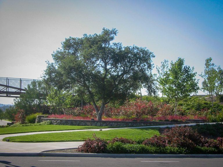 Ladera Ranch Water Concern