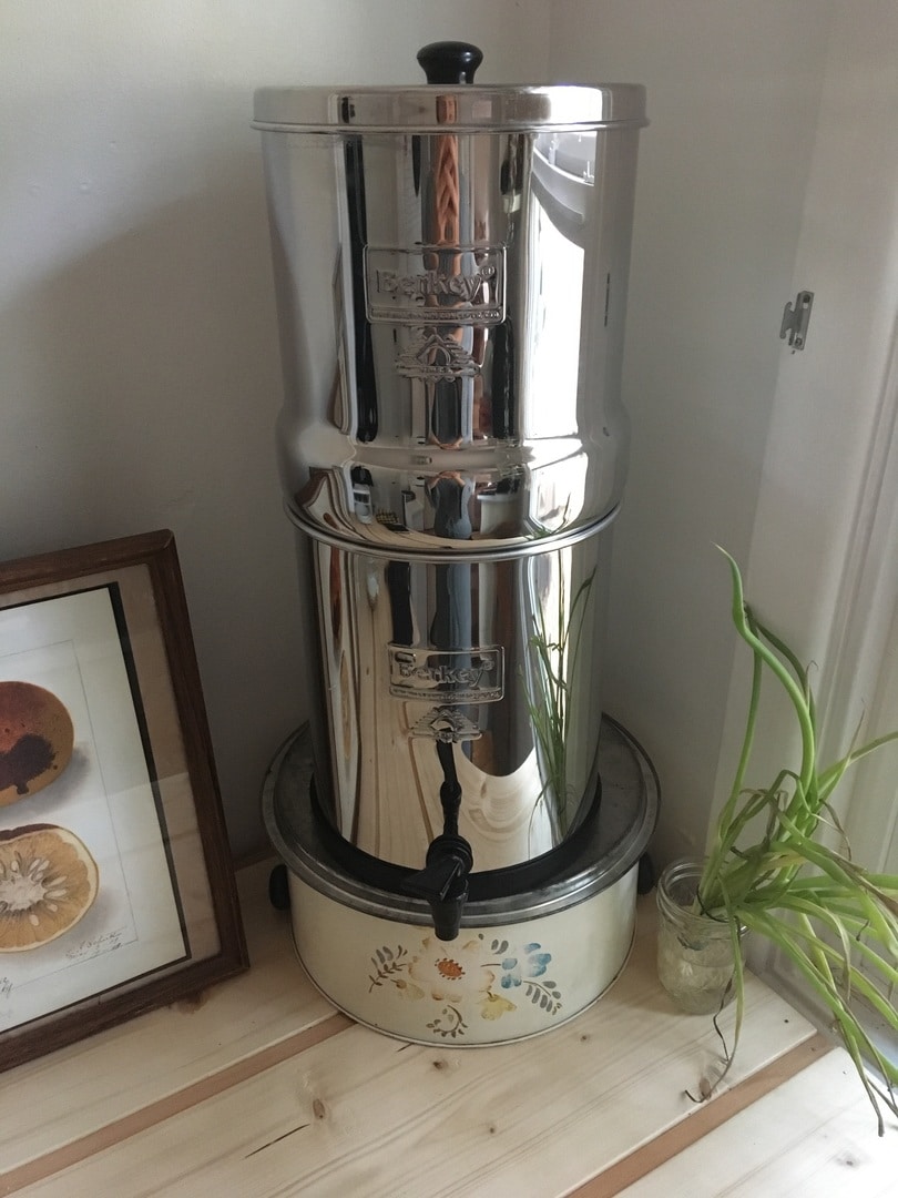 5 Best Fluoride Water Filters Berkey, Clearly Filtered & More