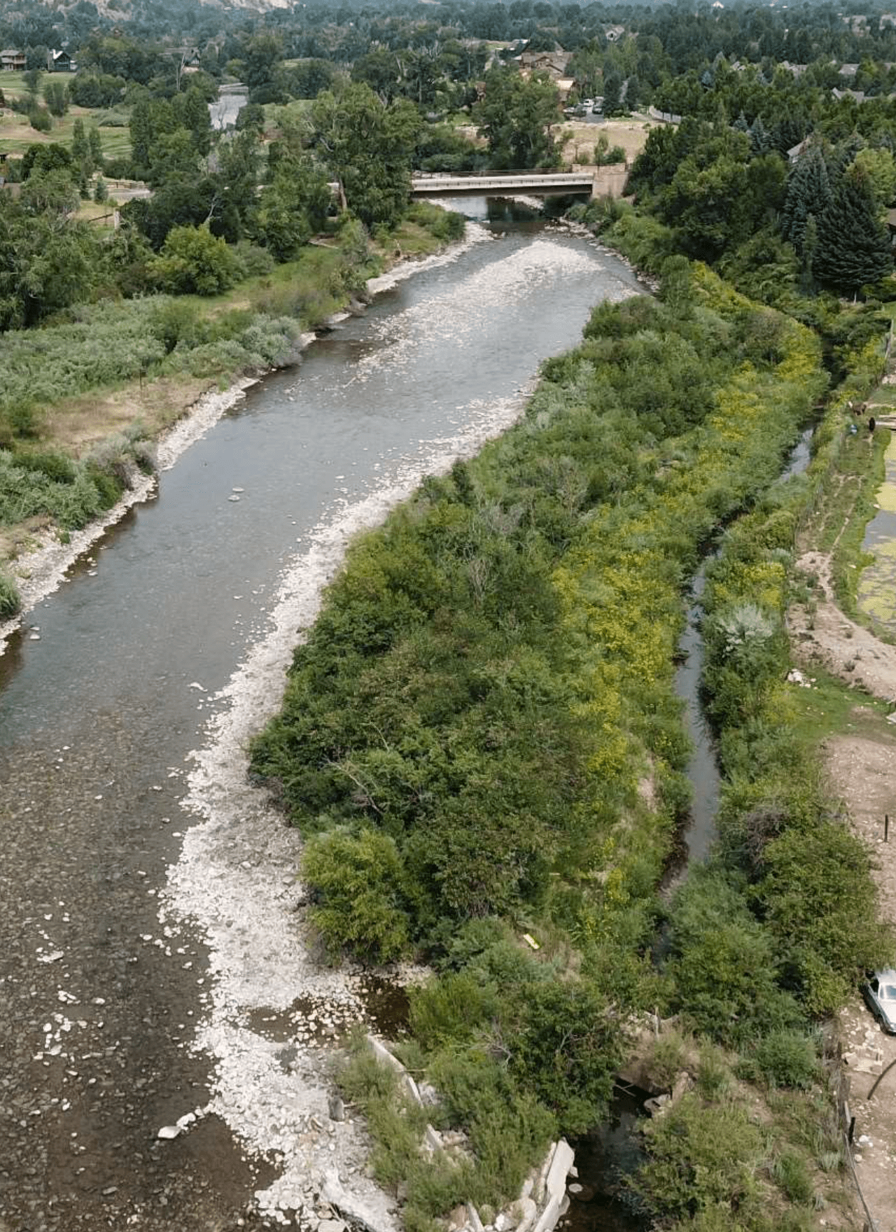 Crystal River restoration finding its footing in Carbondale park