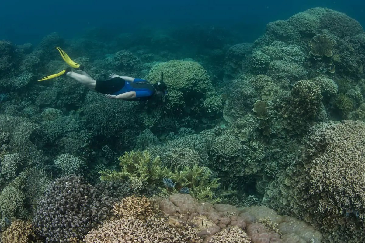 Can You Get Sick From Snorkeling? Water Diversions