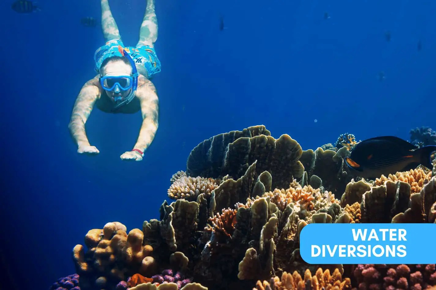 Snorkeling Essentials Why a Wetsuit Should Be on Your List Water