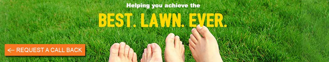 Best Lawn Ever Water Dynamics