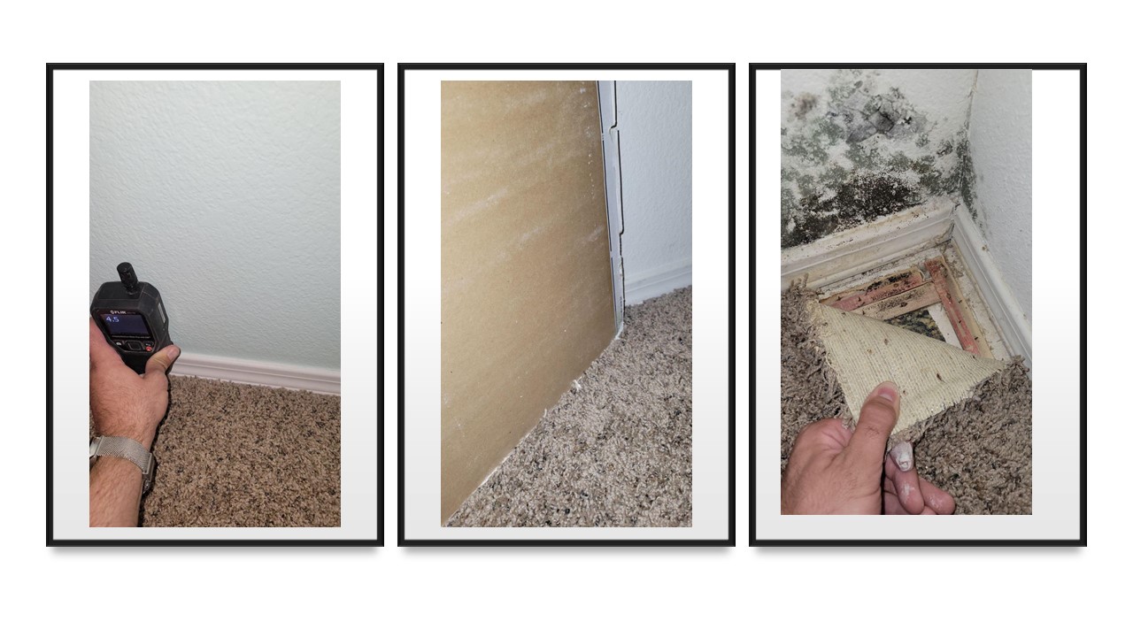 Can My Water Damaged Carpet Be Saved? Water Extraction Experts