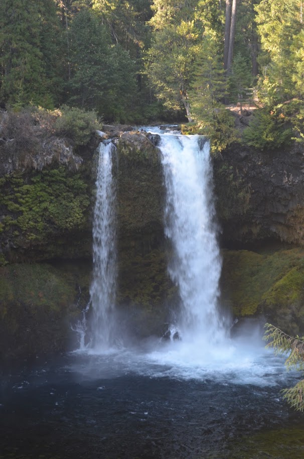 Koosah Falls, Oregon The Waterfall Record