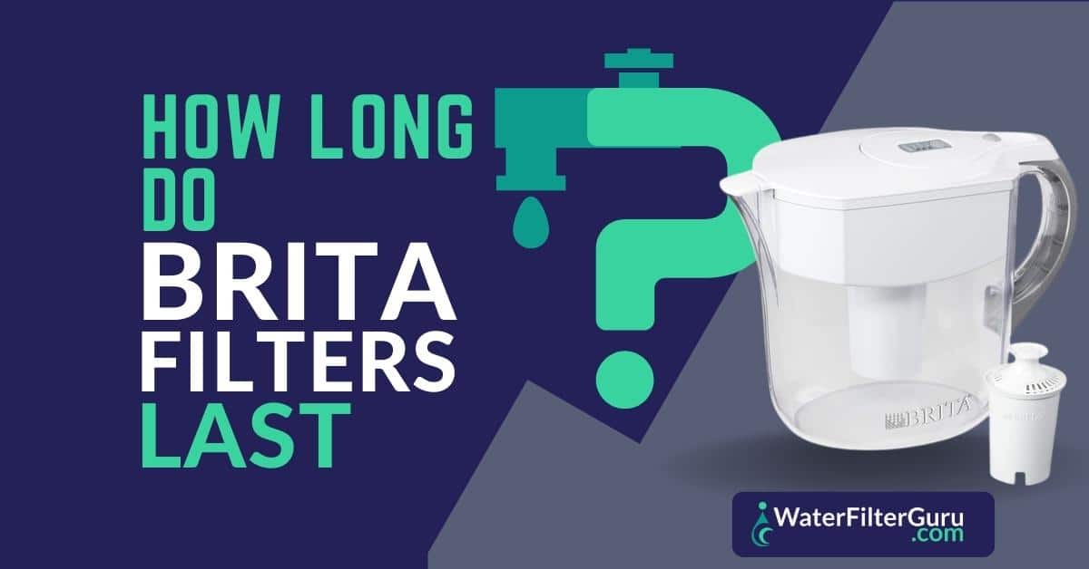 How Long do Brita Filters Last?