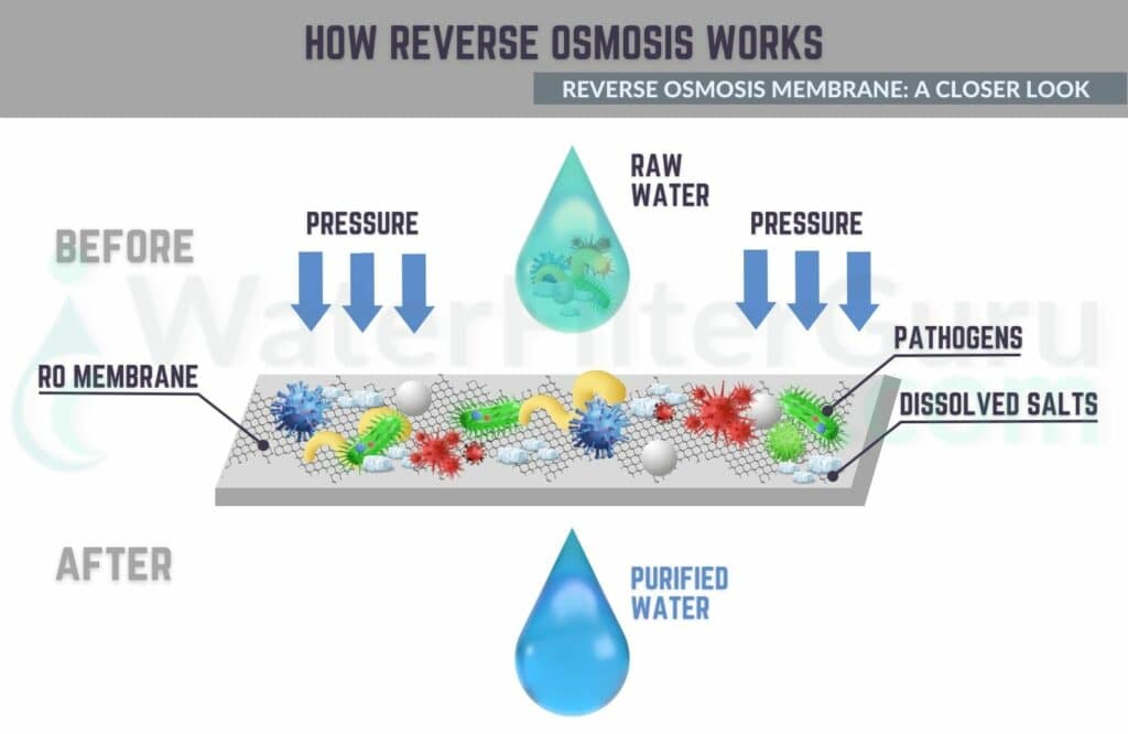 Do Water Filters Remove Calcium? (+Best Way to Get Rid of It)