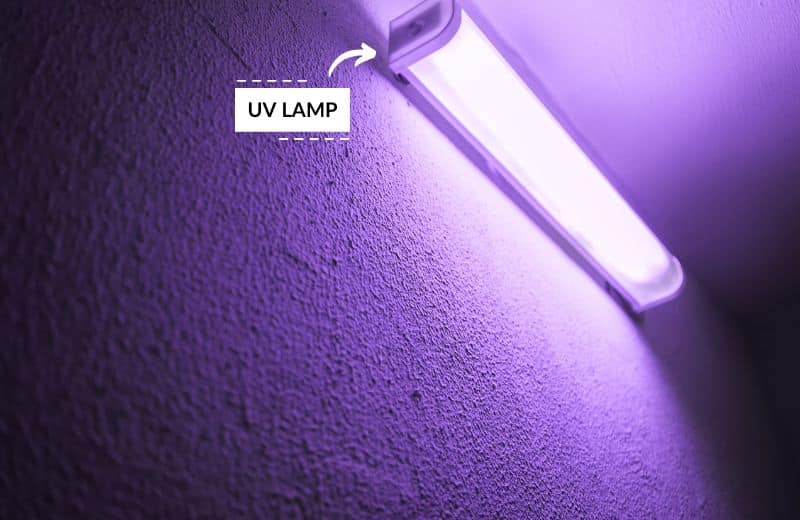 Does UV Light Kill Bacteria in Water