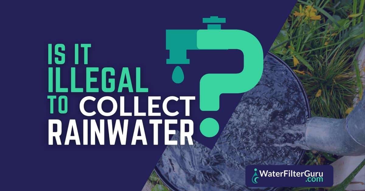 Is it Illegal to Collect Rainwater? (Regulations by State)