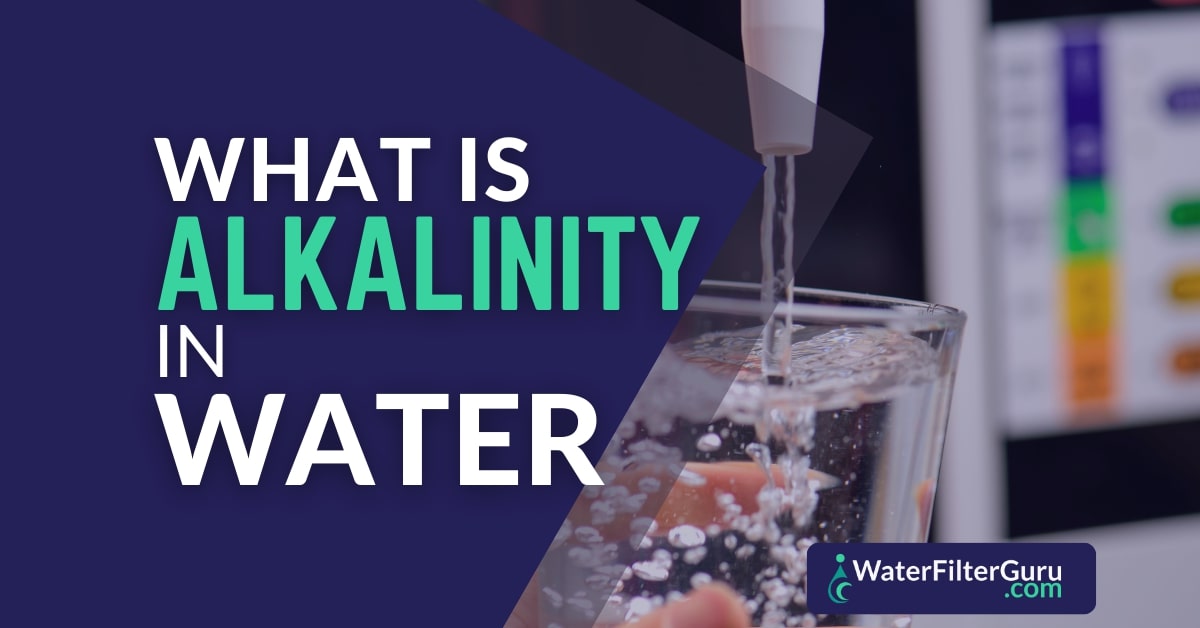 Alkalinity In Water Water Filter Guru