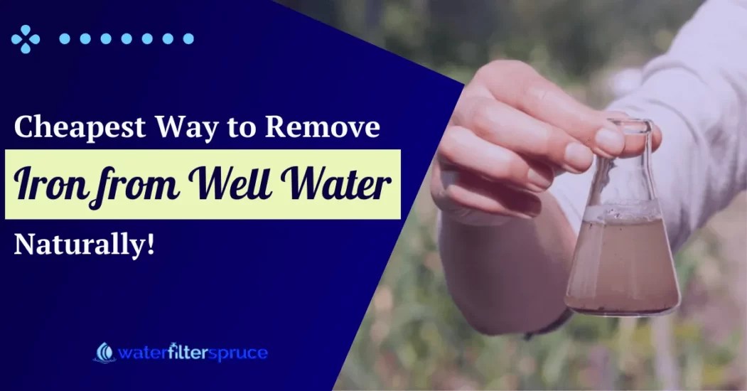 Cheapest Way To Remove Iron From Well Water Naturally In 2024 Water Filter Spruce