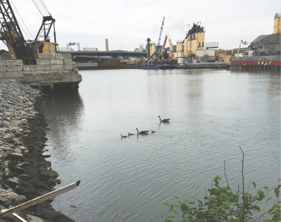 135 Ways to Restore Newtown Creek and the Waters of Flushing