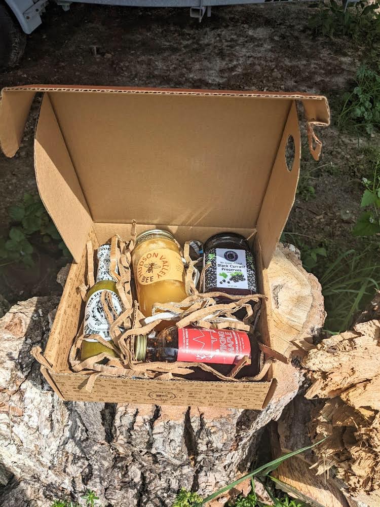 Schooner Apollonia Partners with Waterfront Alliance on Sustainability