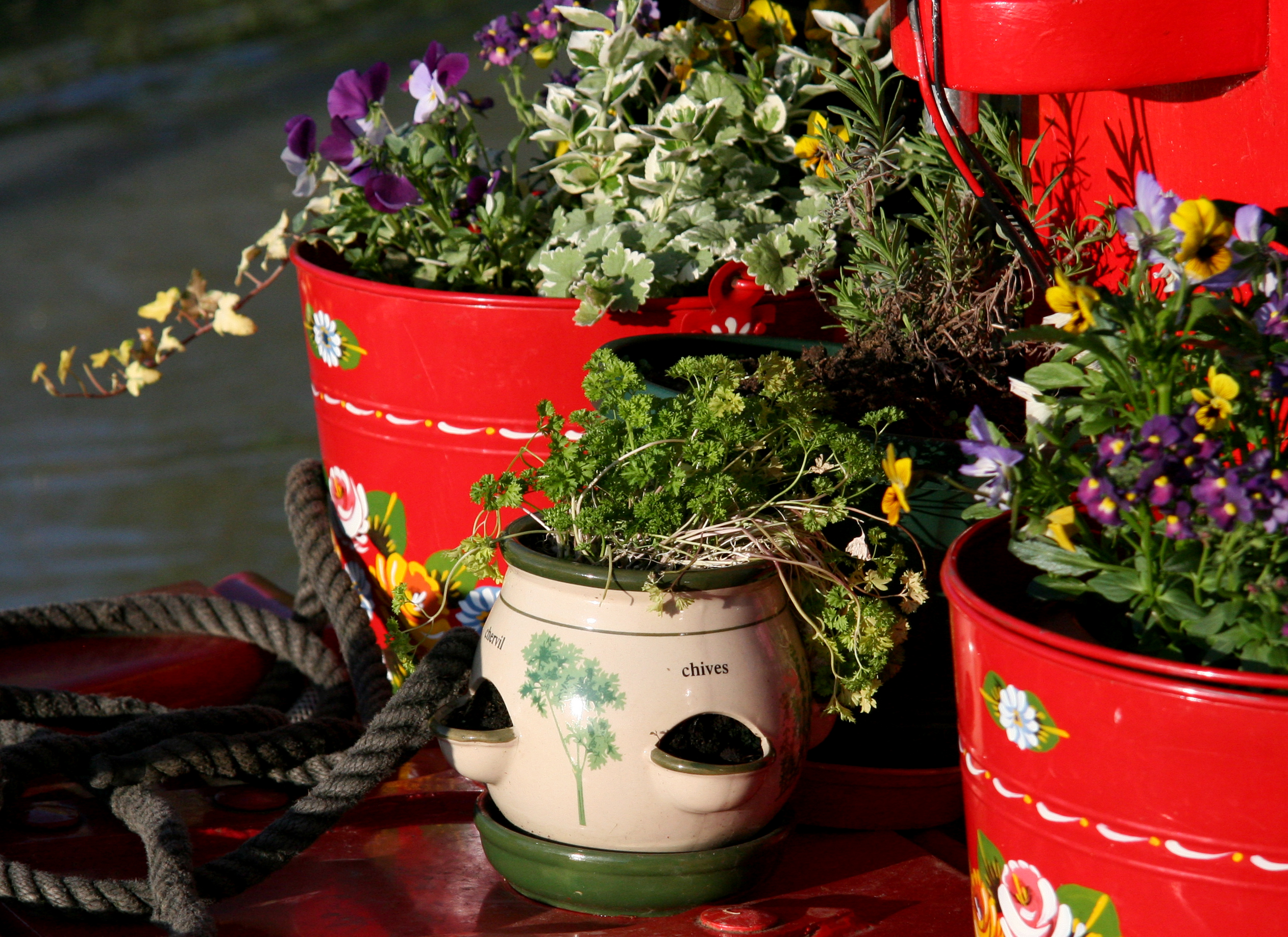 Container Gardeners Take Note! You MUST See This! Waterfront