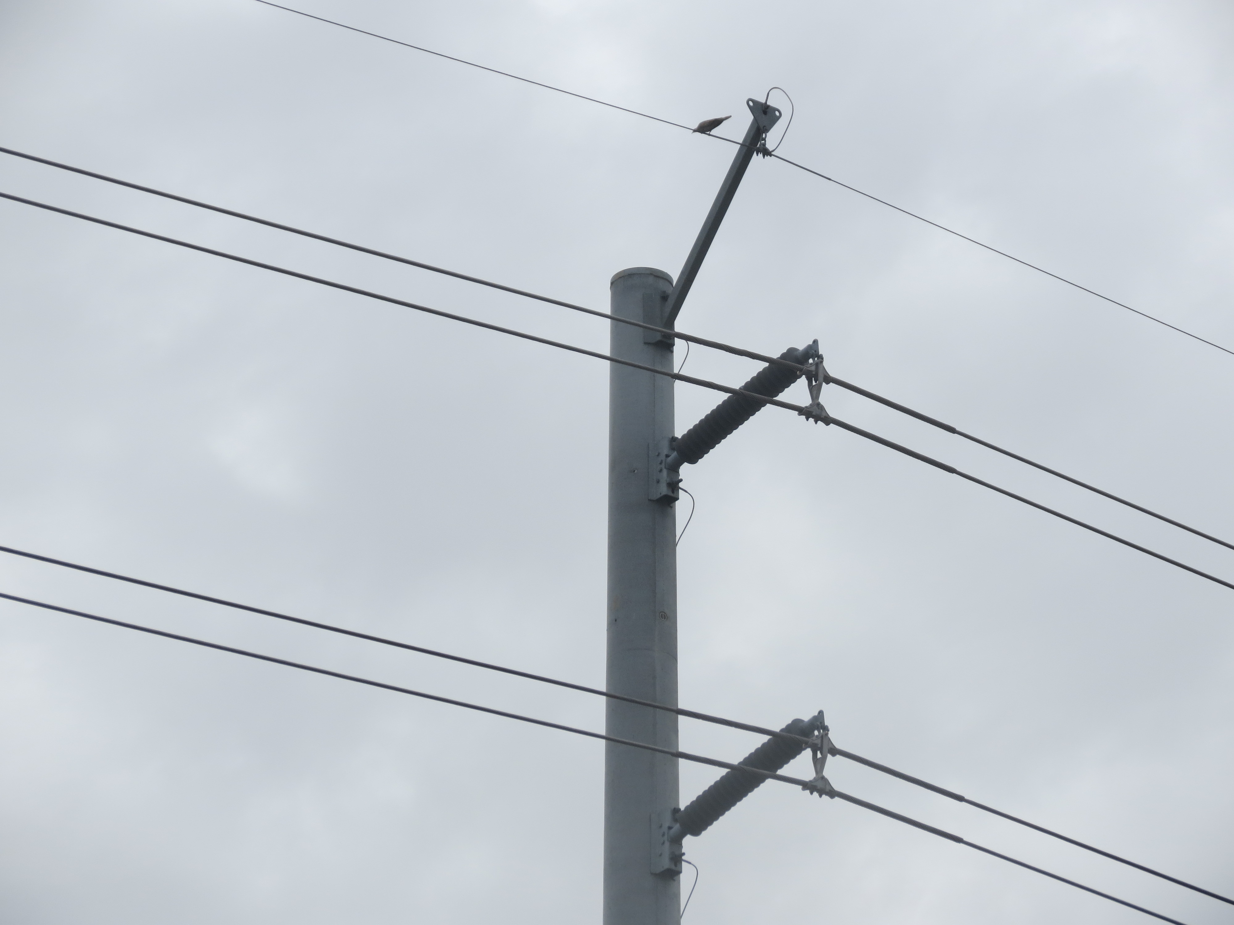 Names of parts on electric pole