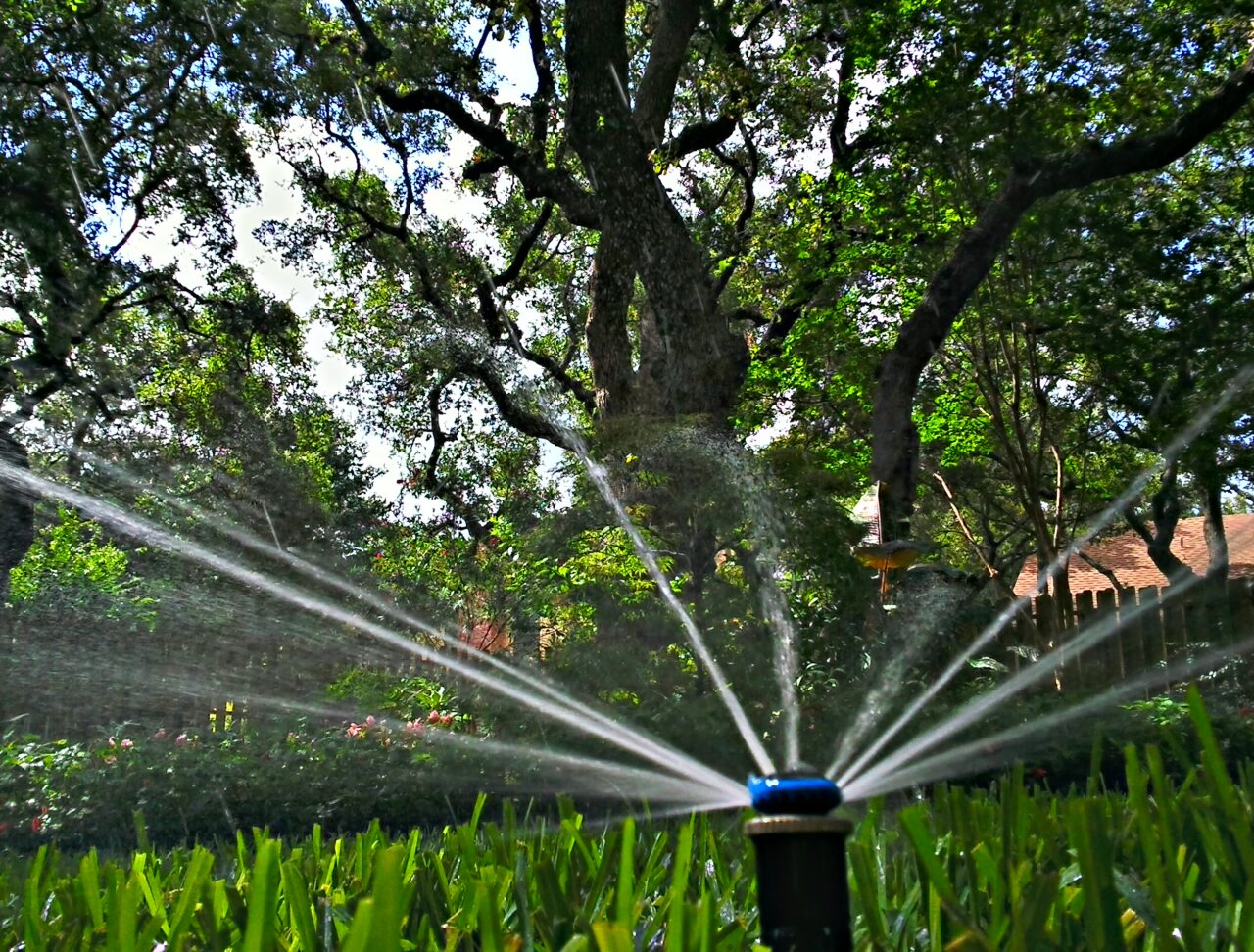 SAWS Watering Rules Review