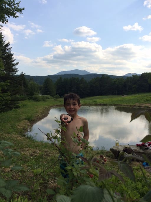 Farmstays Waterman Orchards