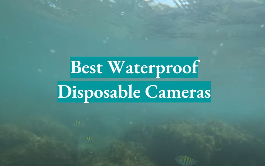Top 5 Best Waterproof Disposable Cameras [July 2023 Review