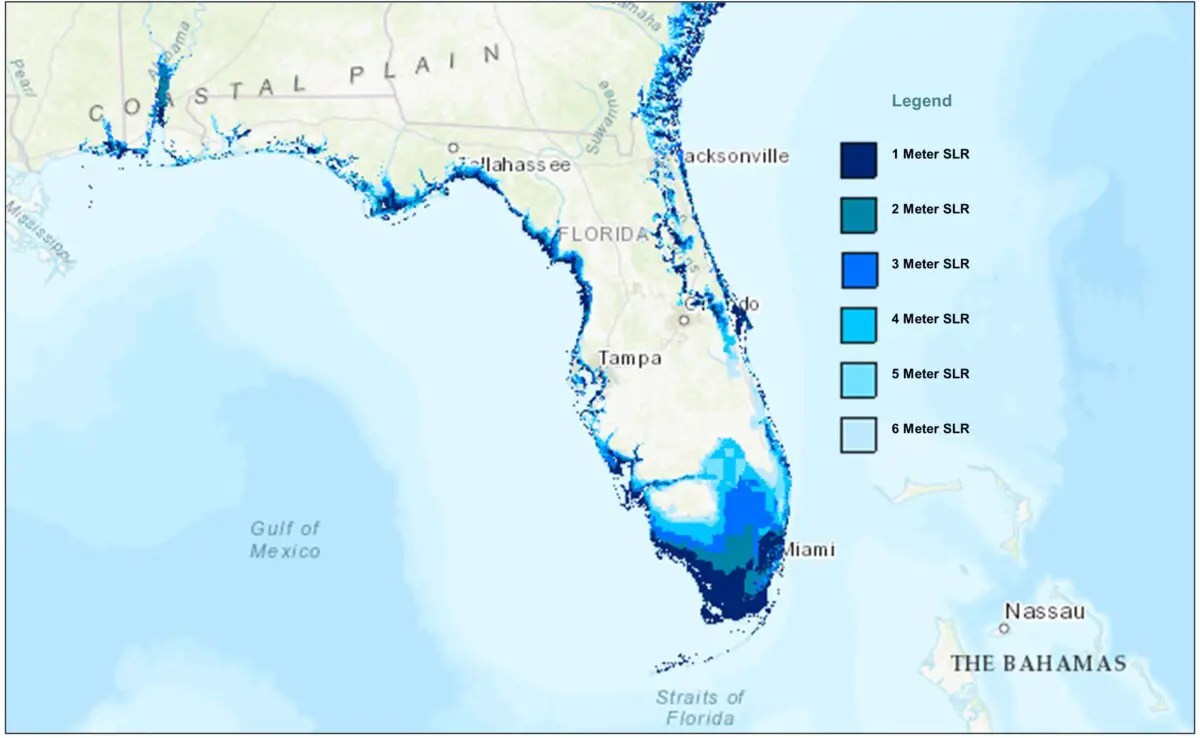 How Will Sea Level Rise Affect Florida? Water Purification Guide