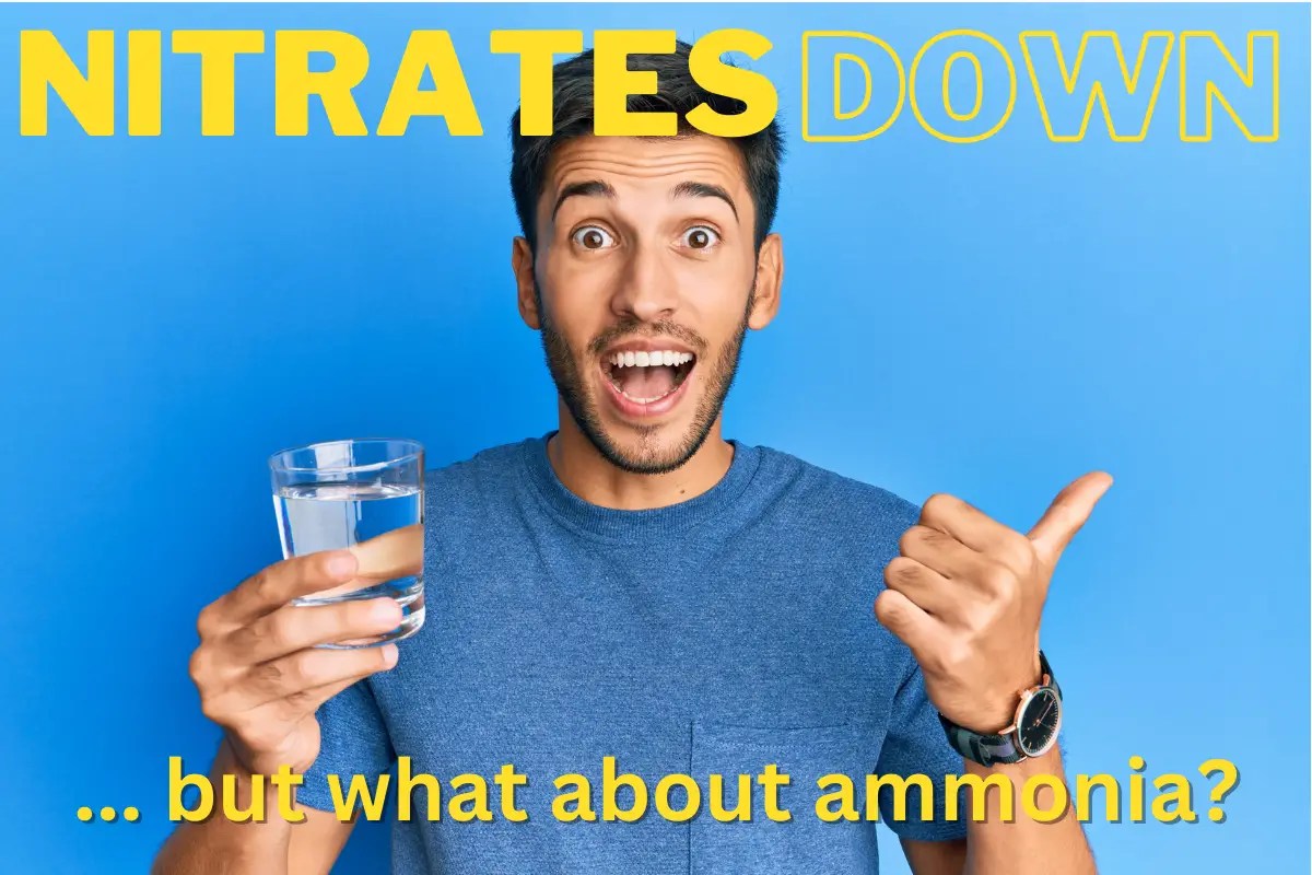 How RO Systems Remove Nitrates and Ammonium (not ammonia) Water