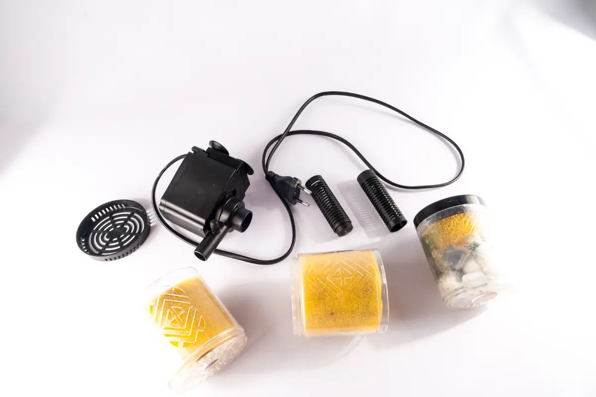 Brown Pond Water Solved Water Purification Guide