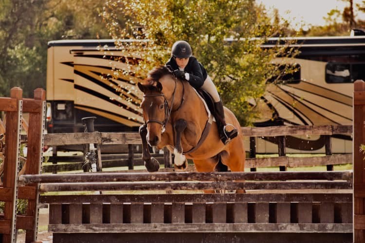Lessons Waters Edge Stables