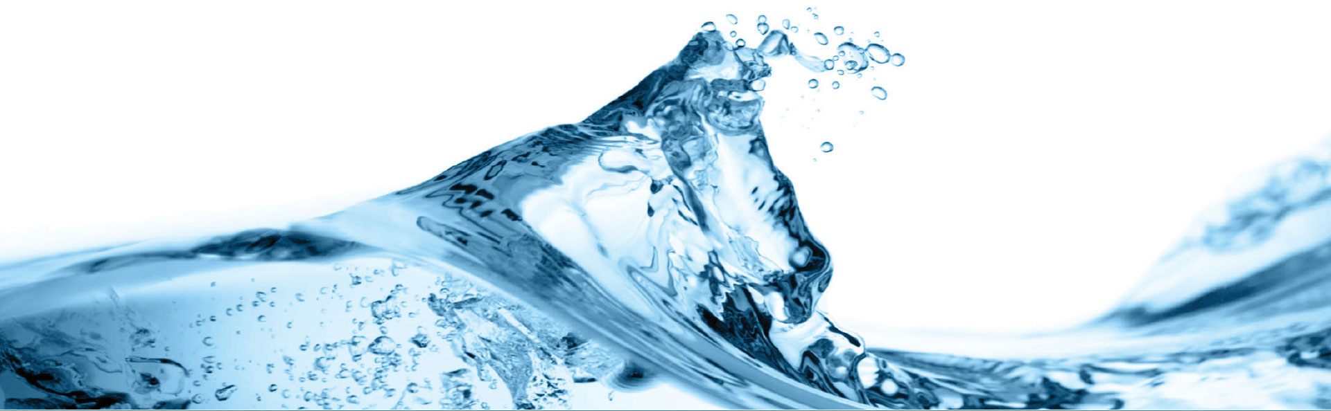 Water Serve Foundation Our Work