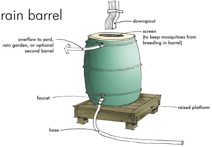 Rain Barrels Tip of the Mitt Watershed Council