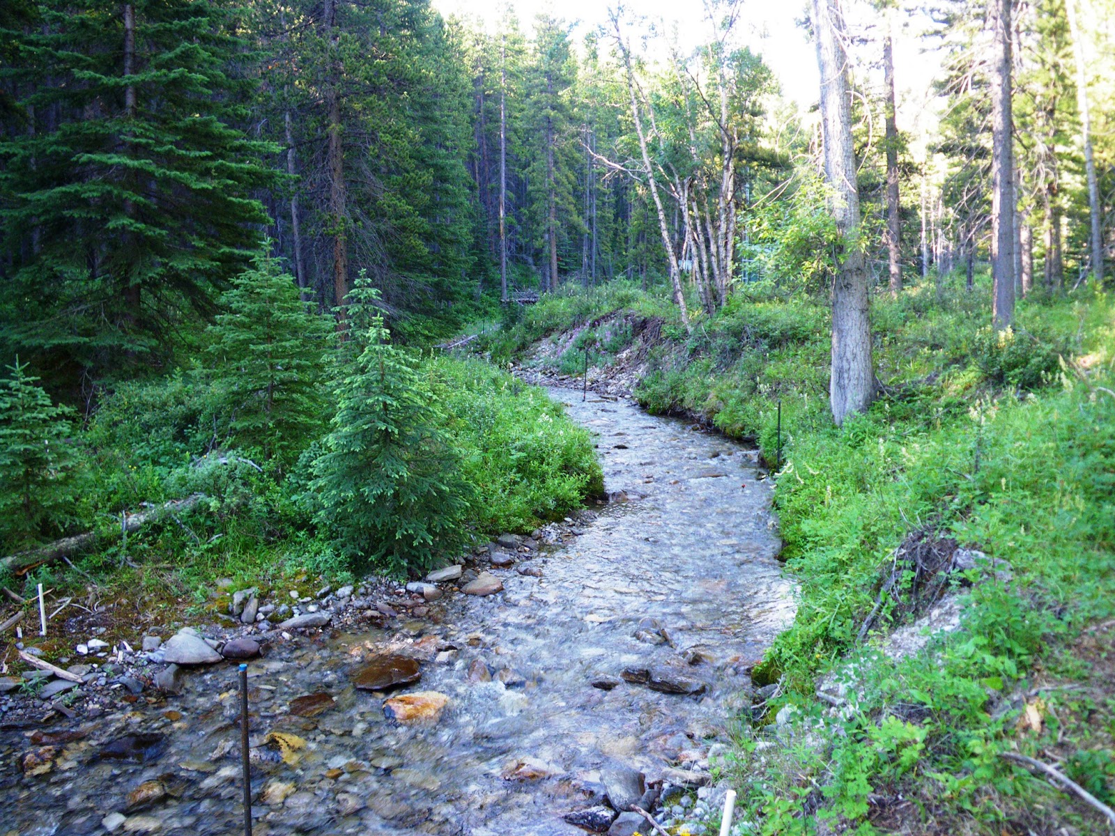Mountain Streams Observing Differences Watershed Notes