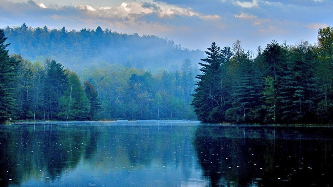 Sherwood Forest Lake
