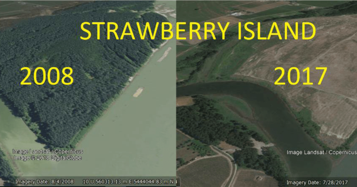 Help defend Strawberry Island from development