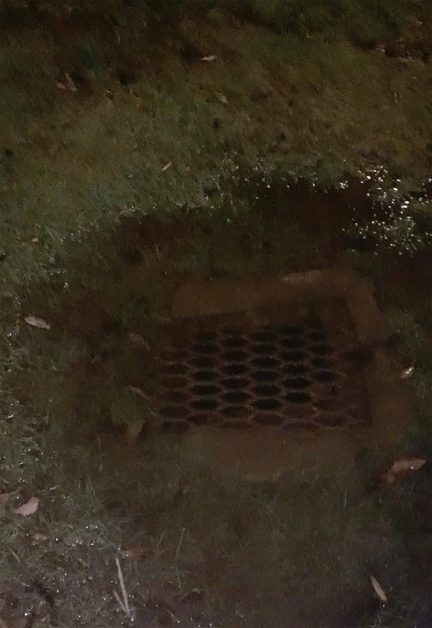 This public notice post with the election results is a first of its