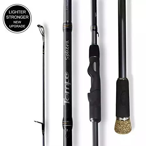 Best Ultralight Fishing Rods (7 Reviews & Buyers Guide)