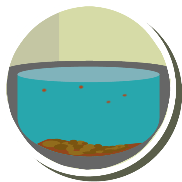 The Urban Water Cycle Drinking Water