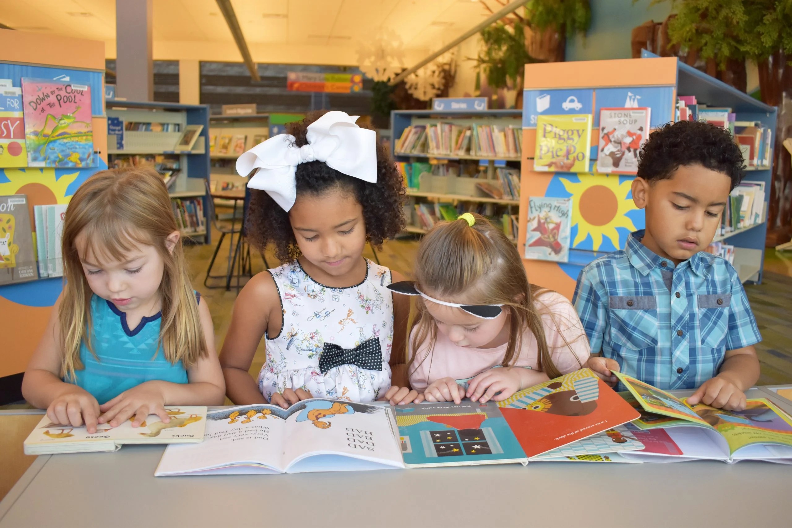 Queen Creek Showcases Conservation at the Library Water Use It Wisely