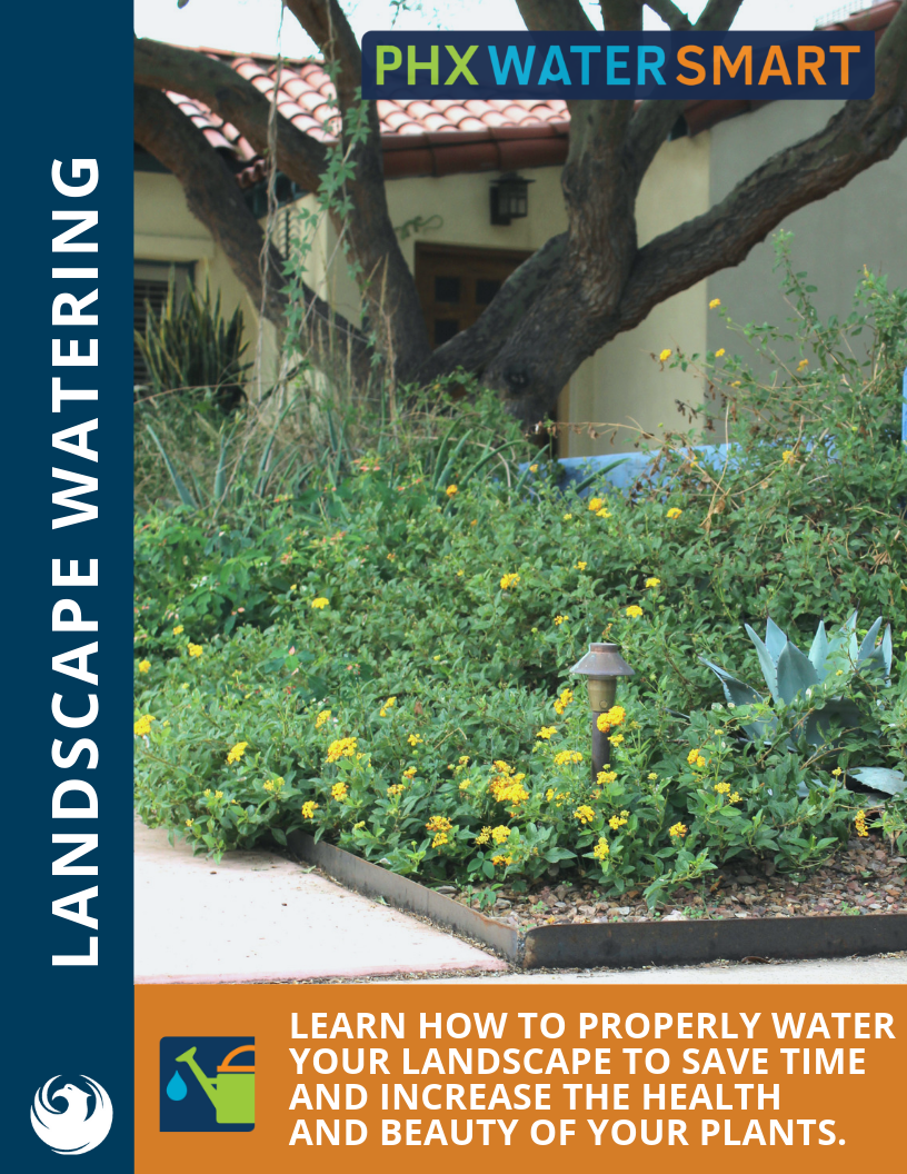 PHXWaterSmart's free landscape Landscape Watering Water Use