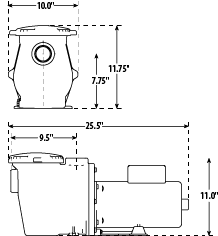 SMF International Pool Pump - Waterway Plastics