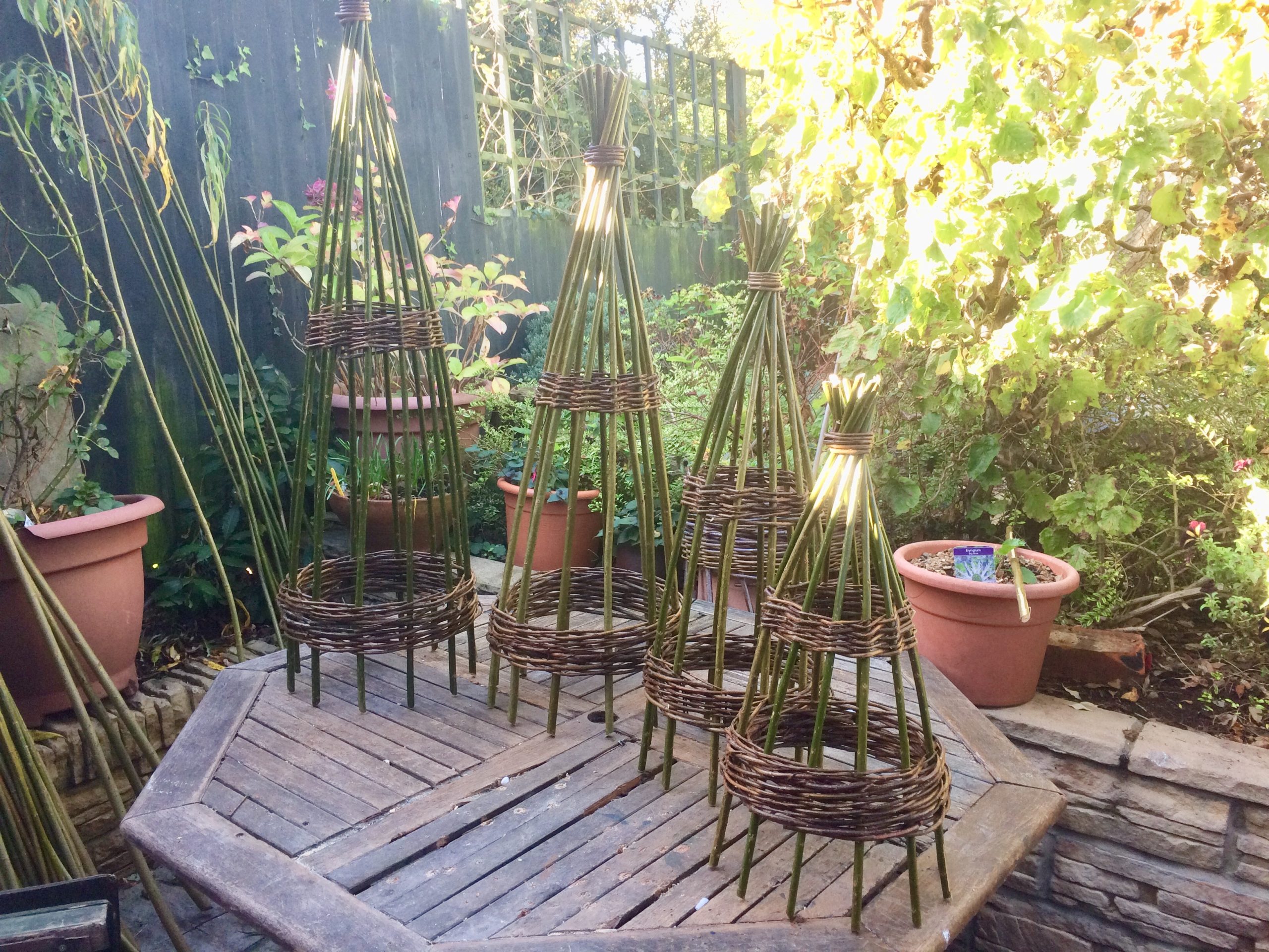 Willow Obelisks Waterwillows