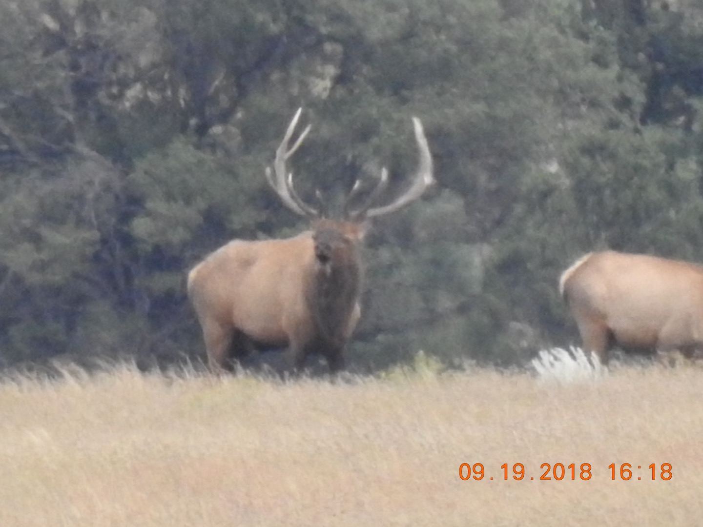 Hunting Watrous Valley Ranch