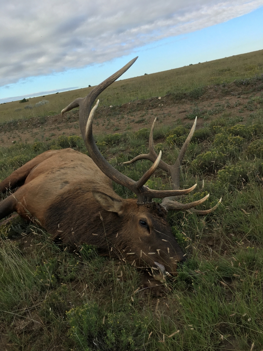 Hunting Watrous Valley Ranch