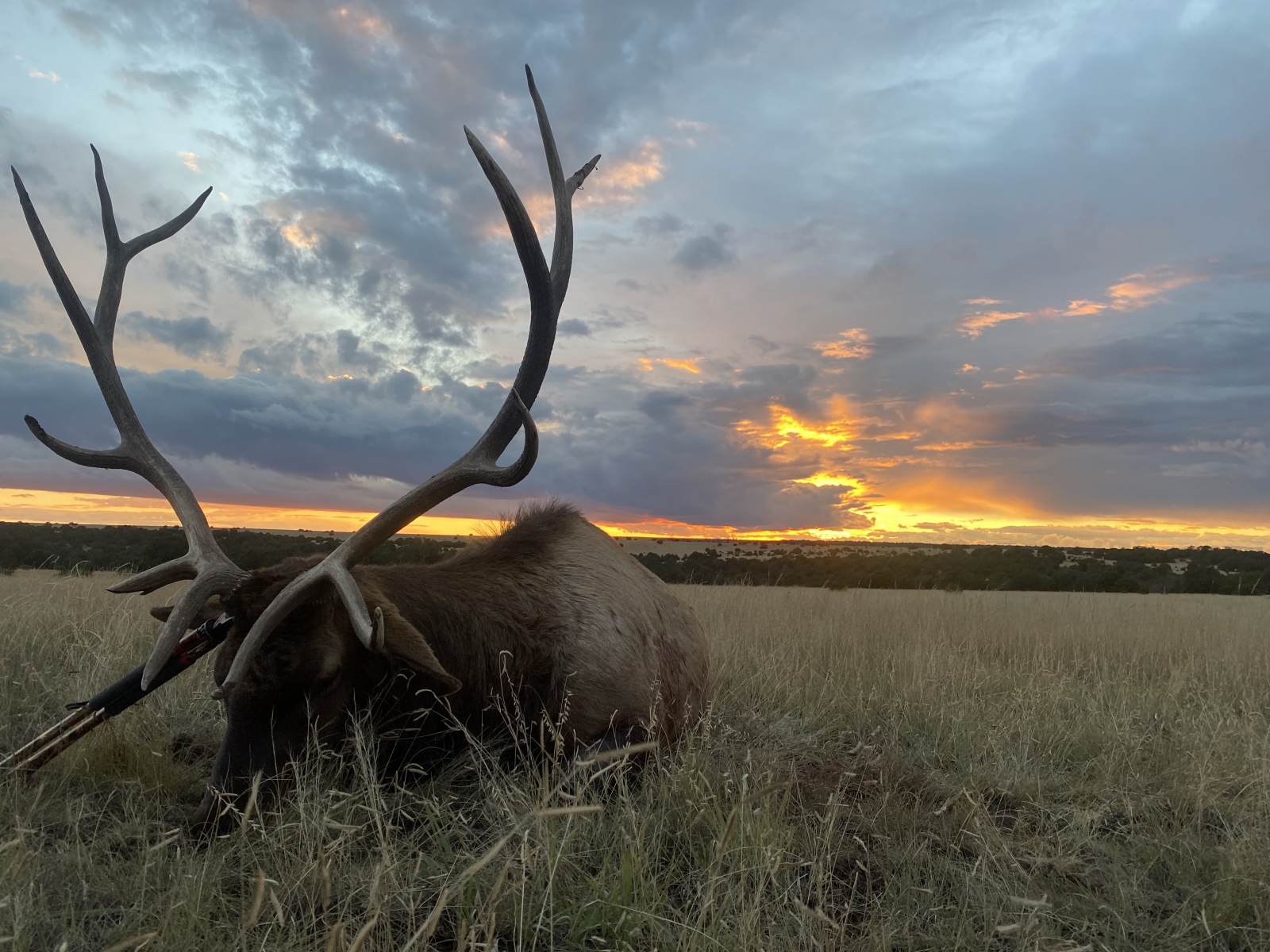 Hunting Watrous Valley Ranch