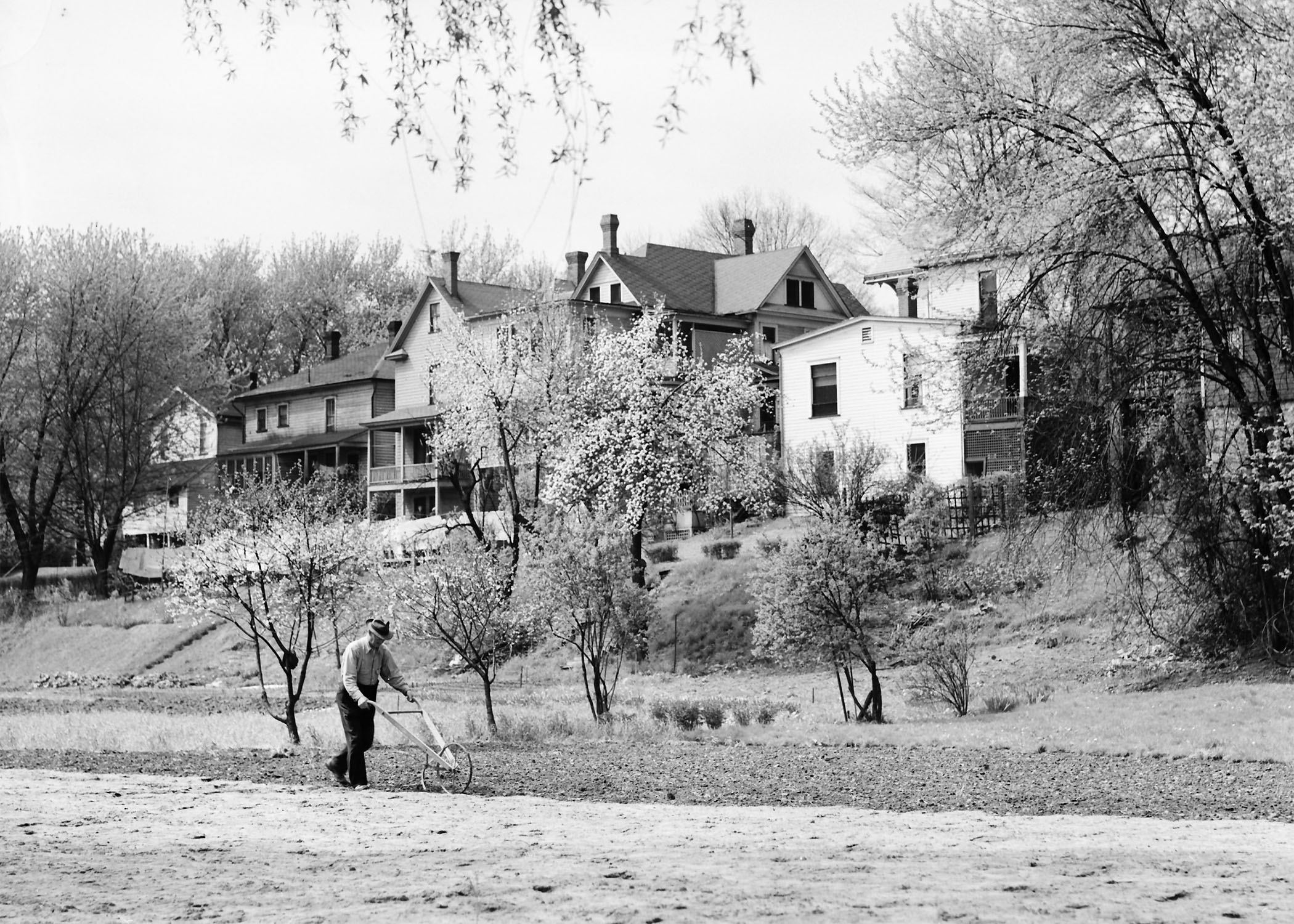 Hillside Garden Alfred Watson Gallery