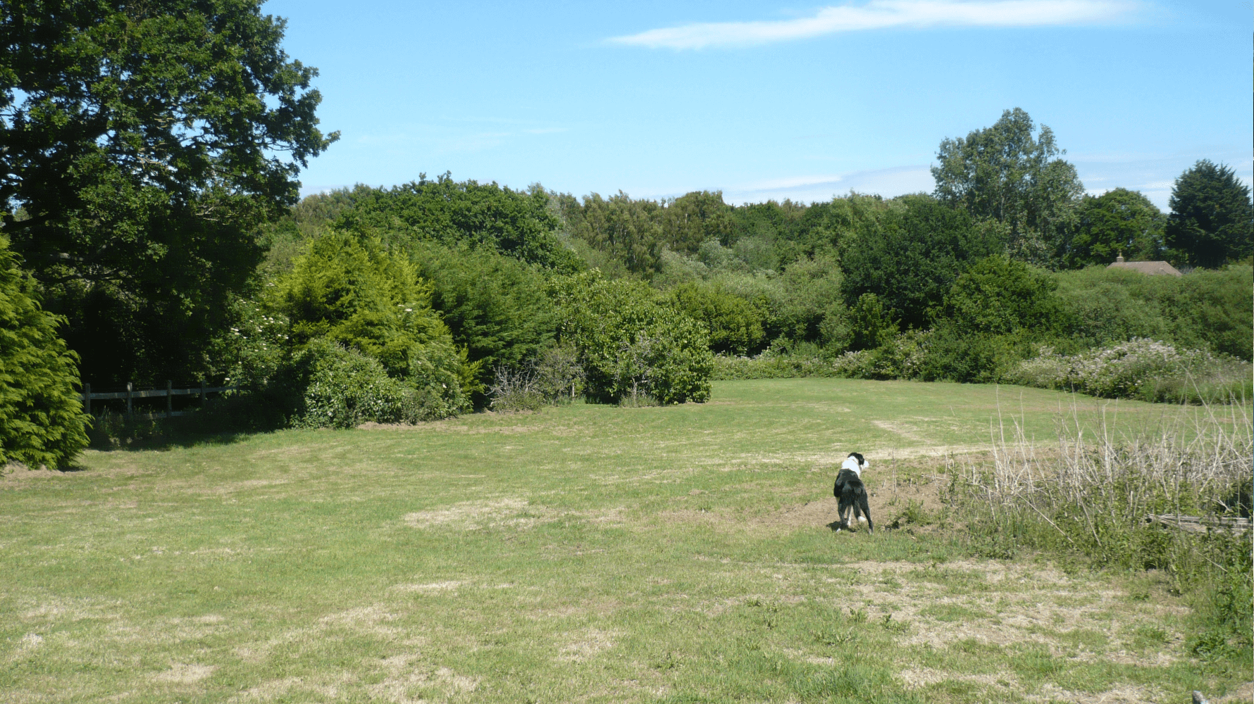 Berwick, East Sussex. Large Bungalow for Refurbishment, About 1.28