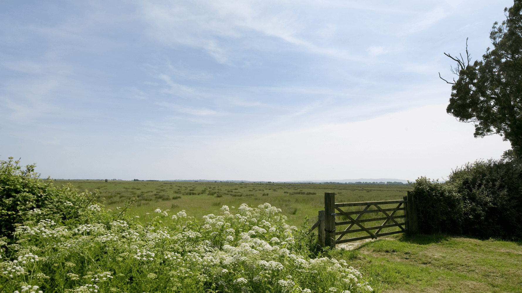 Magham Down, Hailsham, East Sussex. About 314 Acres (127 Ha). Grade II