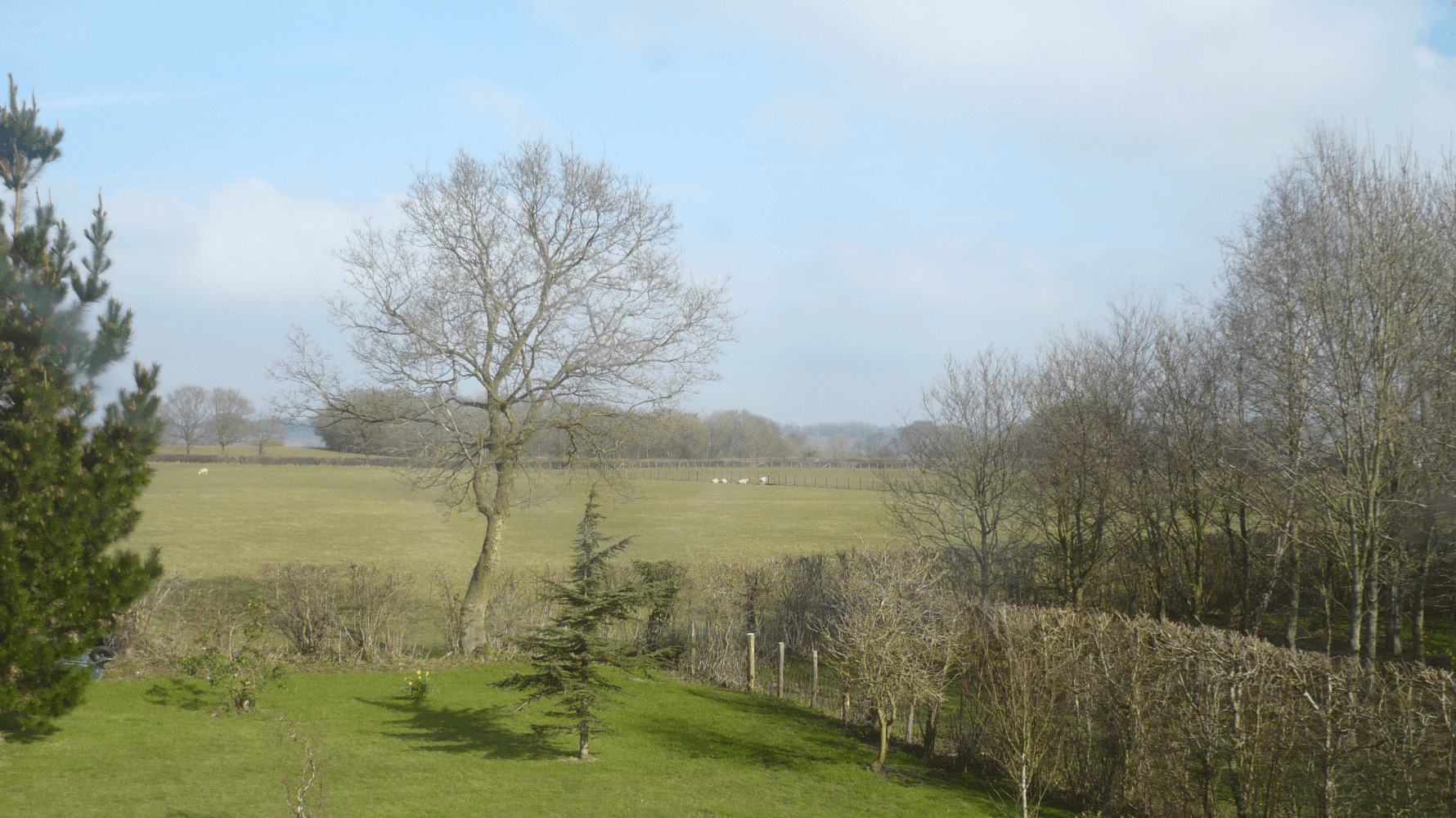 Westfield, East Sussex. About 83 Acres (33.6 Ha). Spacious Character