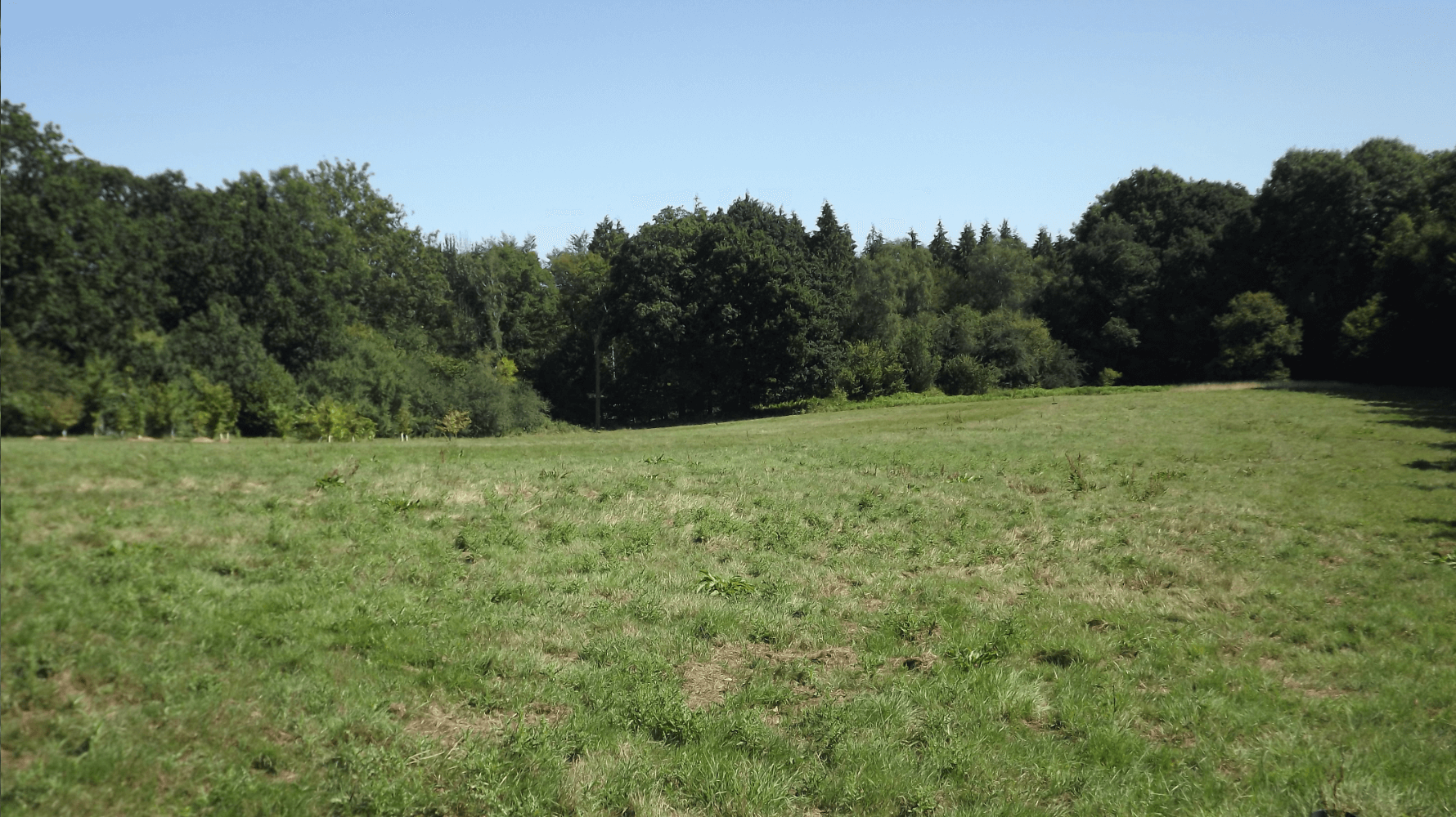 Chiddingly, Nr. Lewes, East Sussex. About 6 acres (2.43 Ha). Pasture, Small Area of Woodland