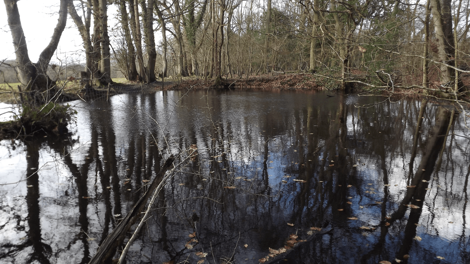 Hadlow Down, East Sussex. About 31 Acres (12.54 Ha). South Facing