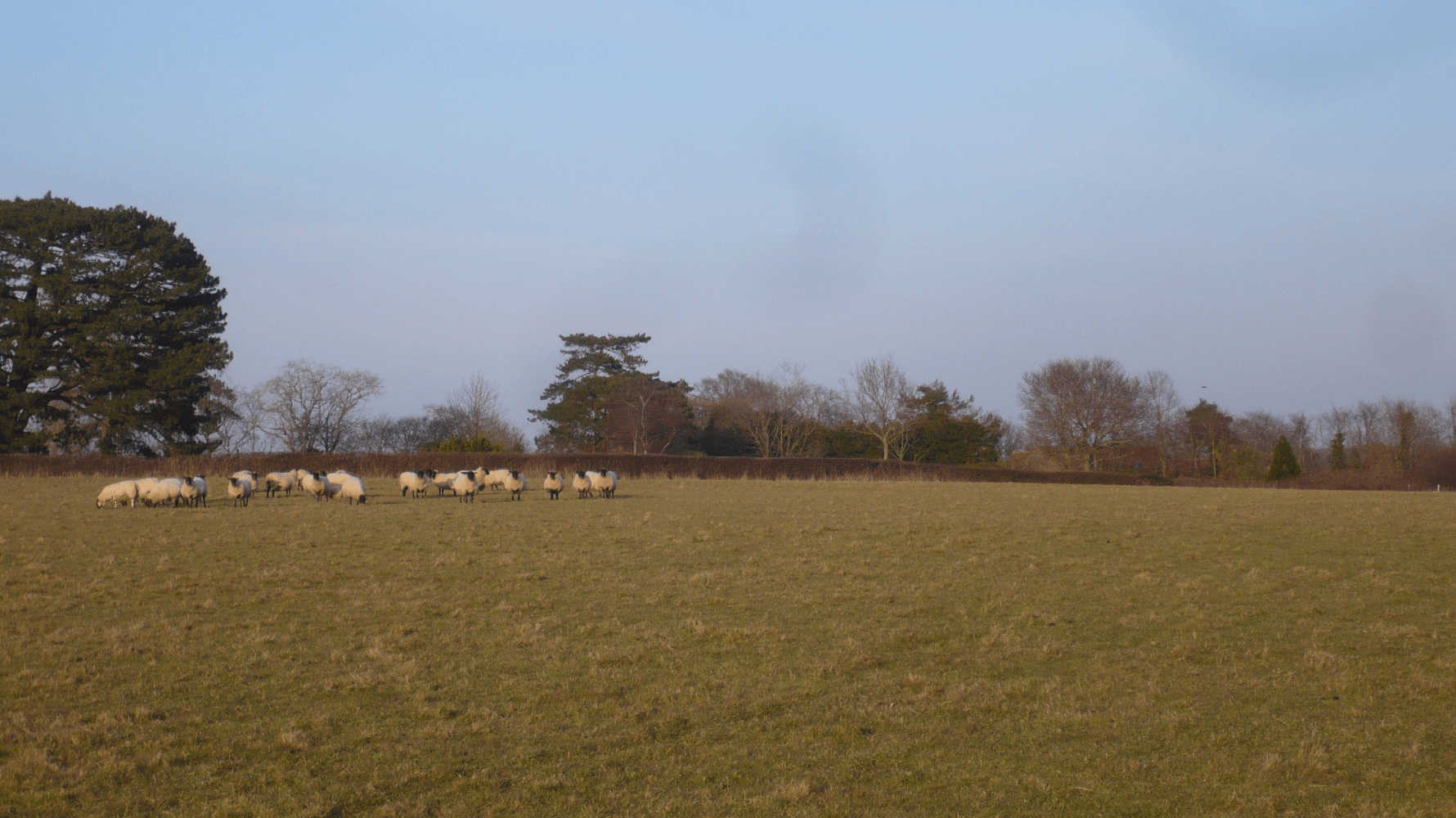 Stonegate, East Sussex. About 60 Acres (24.28 Ha). Pasture, Woodland
