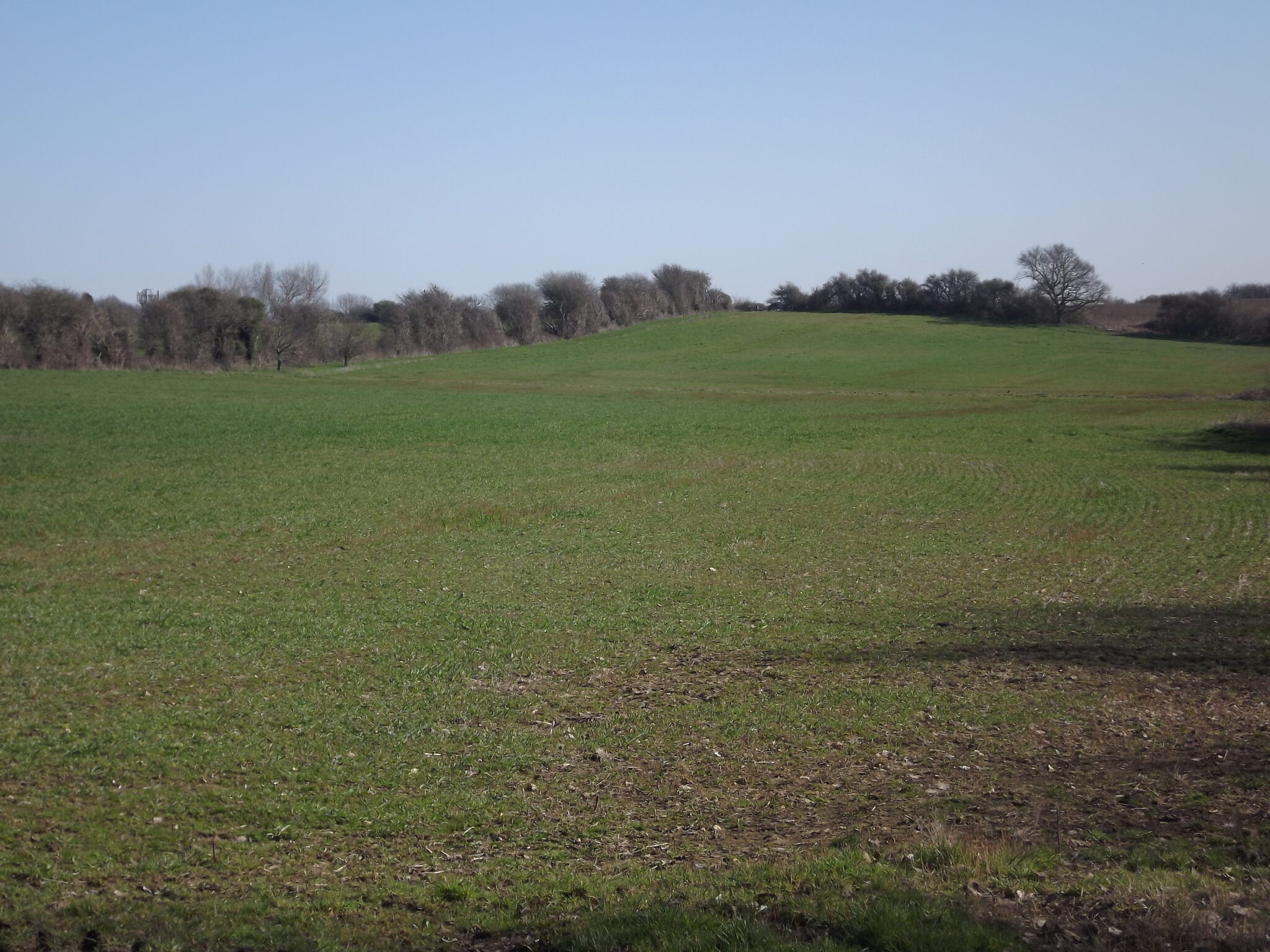Berwick, East Sussex. Five bedroom farmhouse with development of three