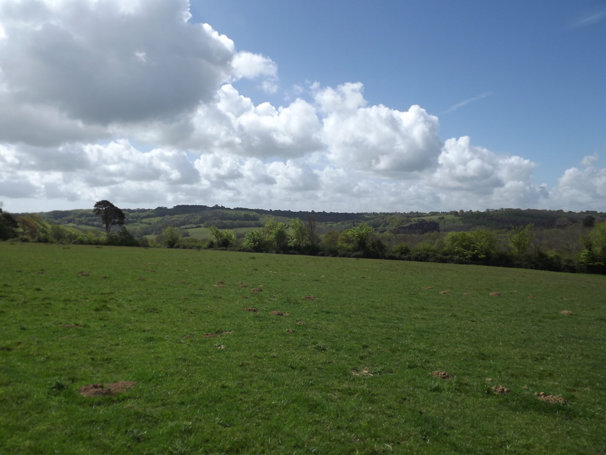Broad Oak, Heathfield, East Sussex. About 63 Acres (25.5 Ha) of pasture